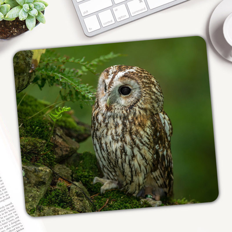 Rugged Tablet Accessories - Cute Animal sowa podkładka pod mysz