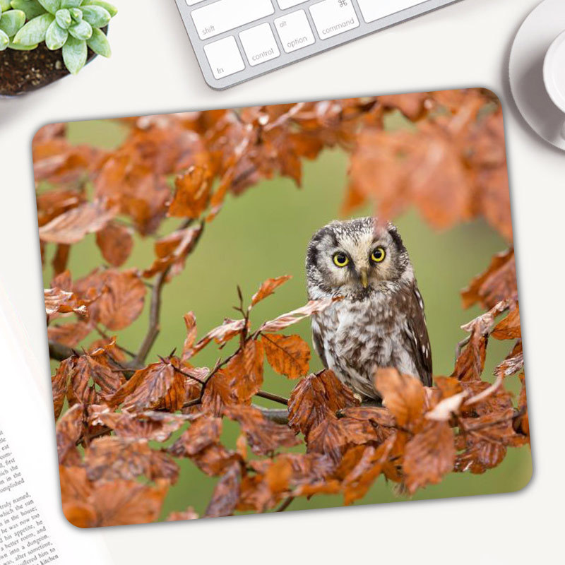Cute Animal sowa podkładka pod – Rugged Tablet Accessories recenzja i cena